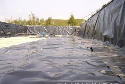 信州如何改变池塘的水质用水产专用益生菌益富源